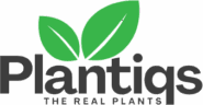 Welcome to plantiqs.com